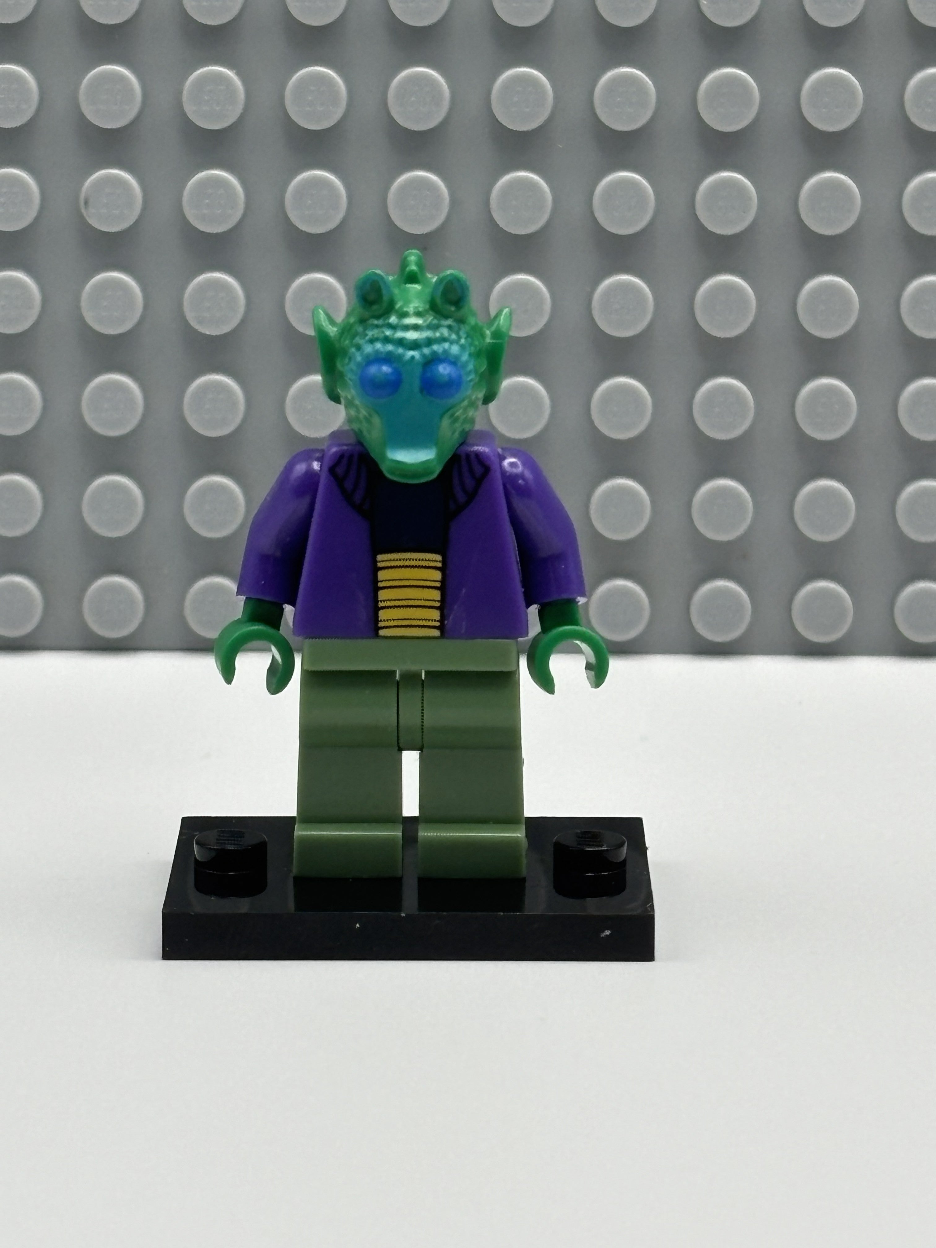 Onaconda Farr - sw0241