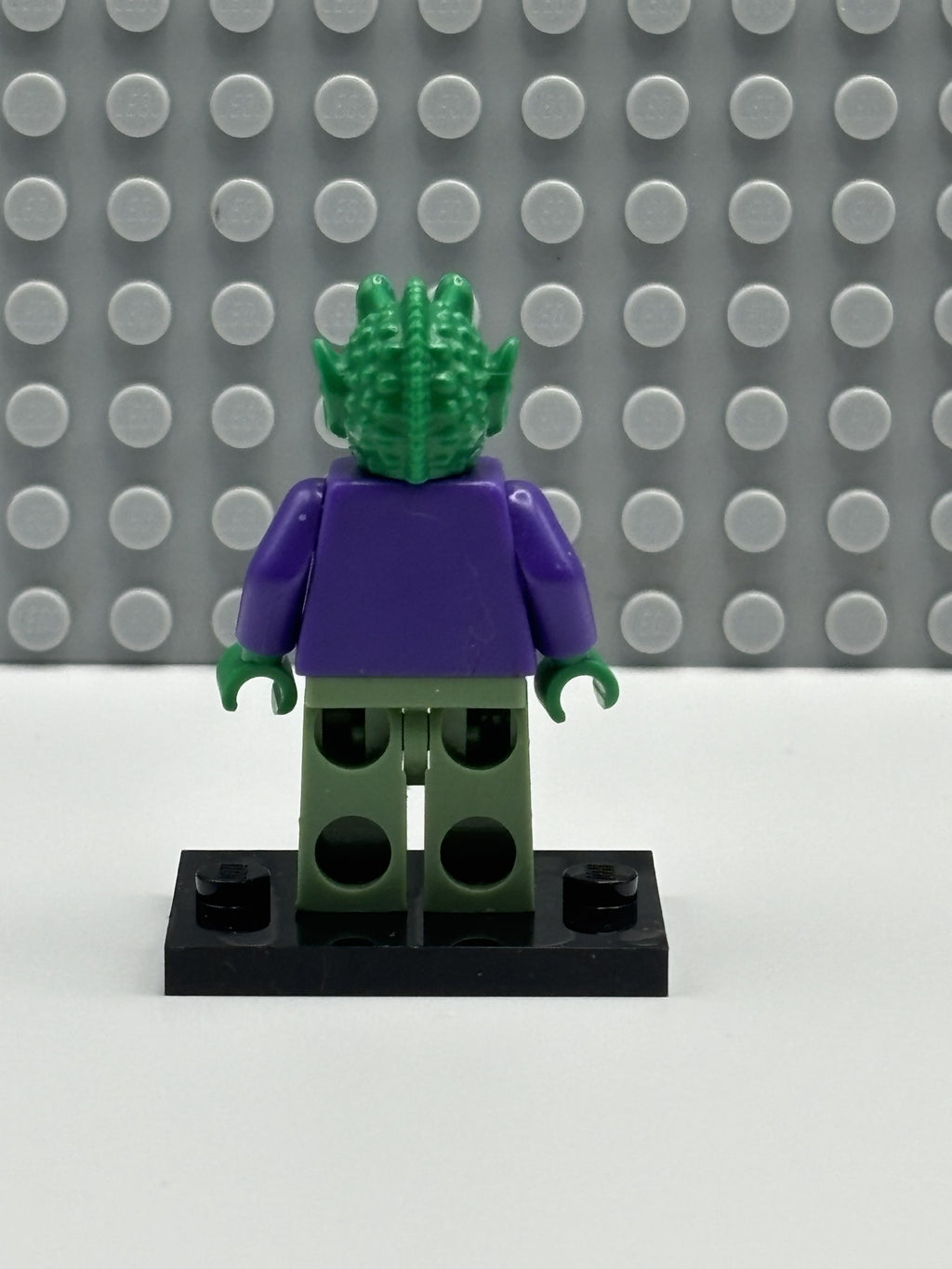 Onaconda Farr - sw0241