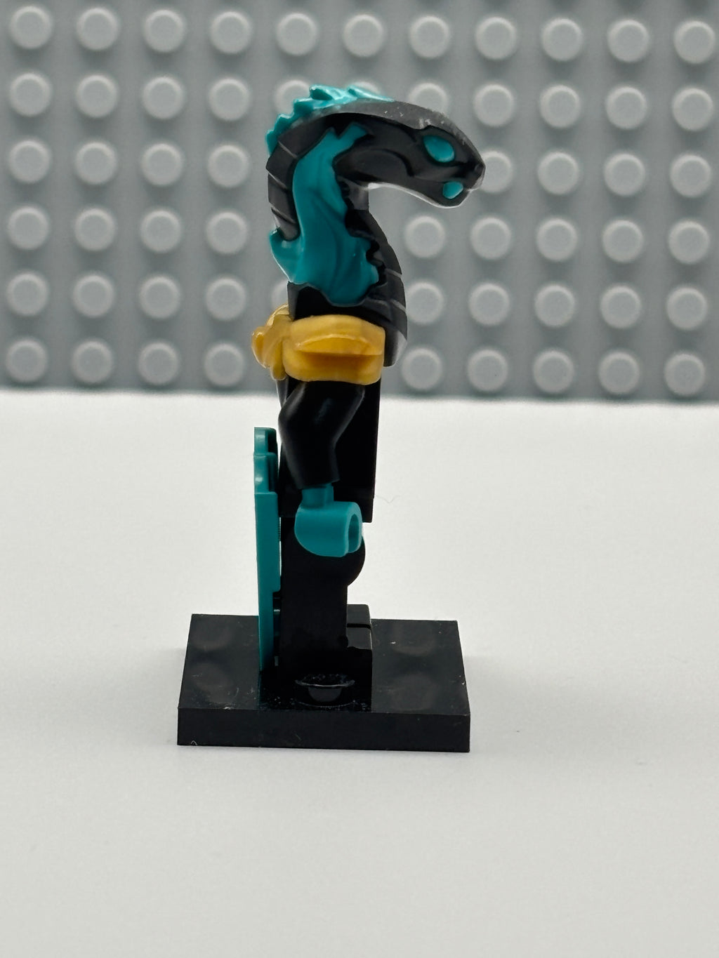 Maaray Guard - njo0696
