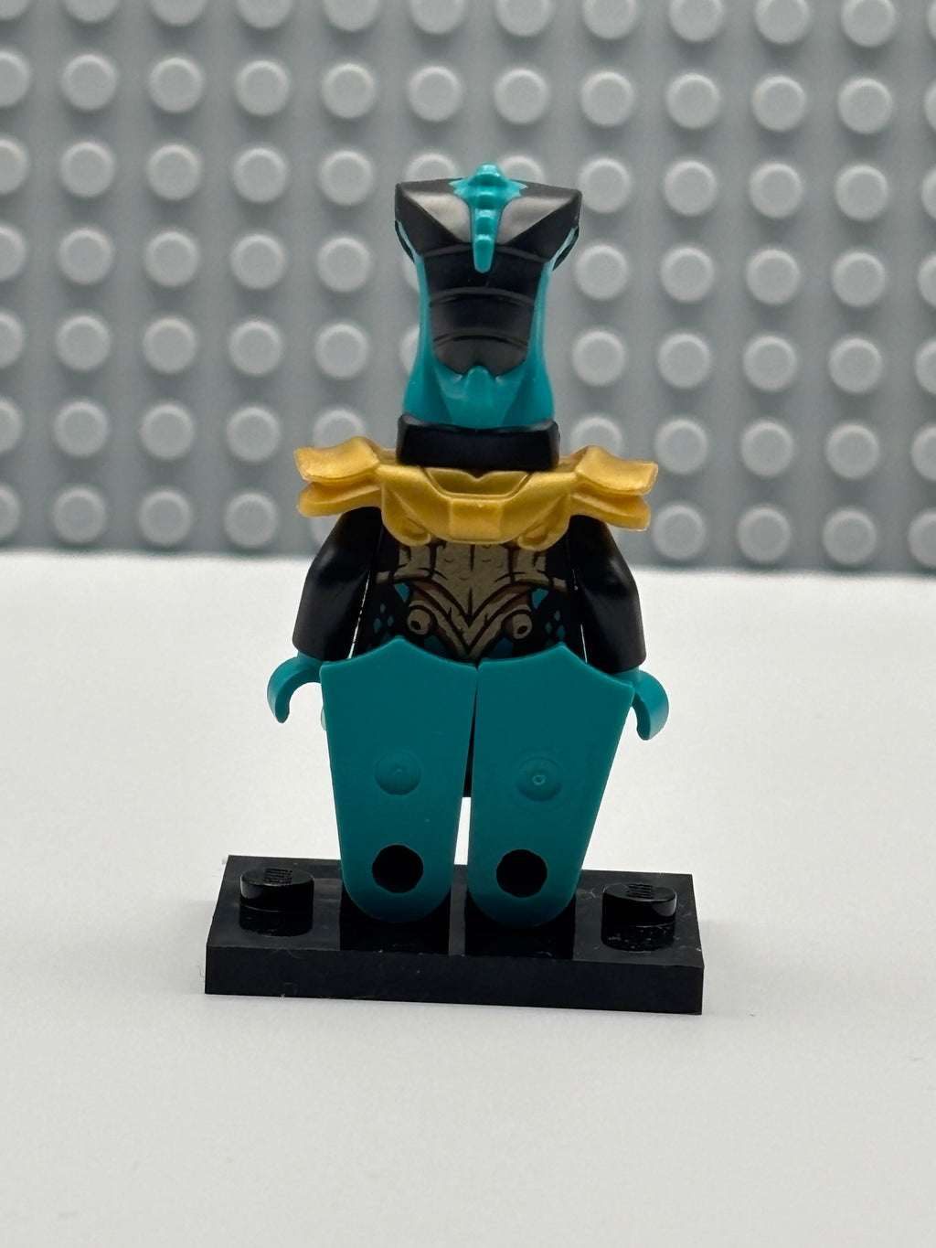 Maaray Guard - njo0696