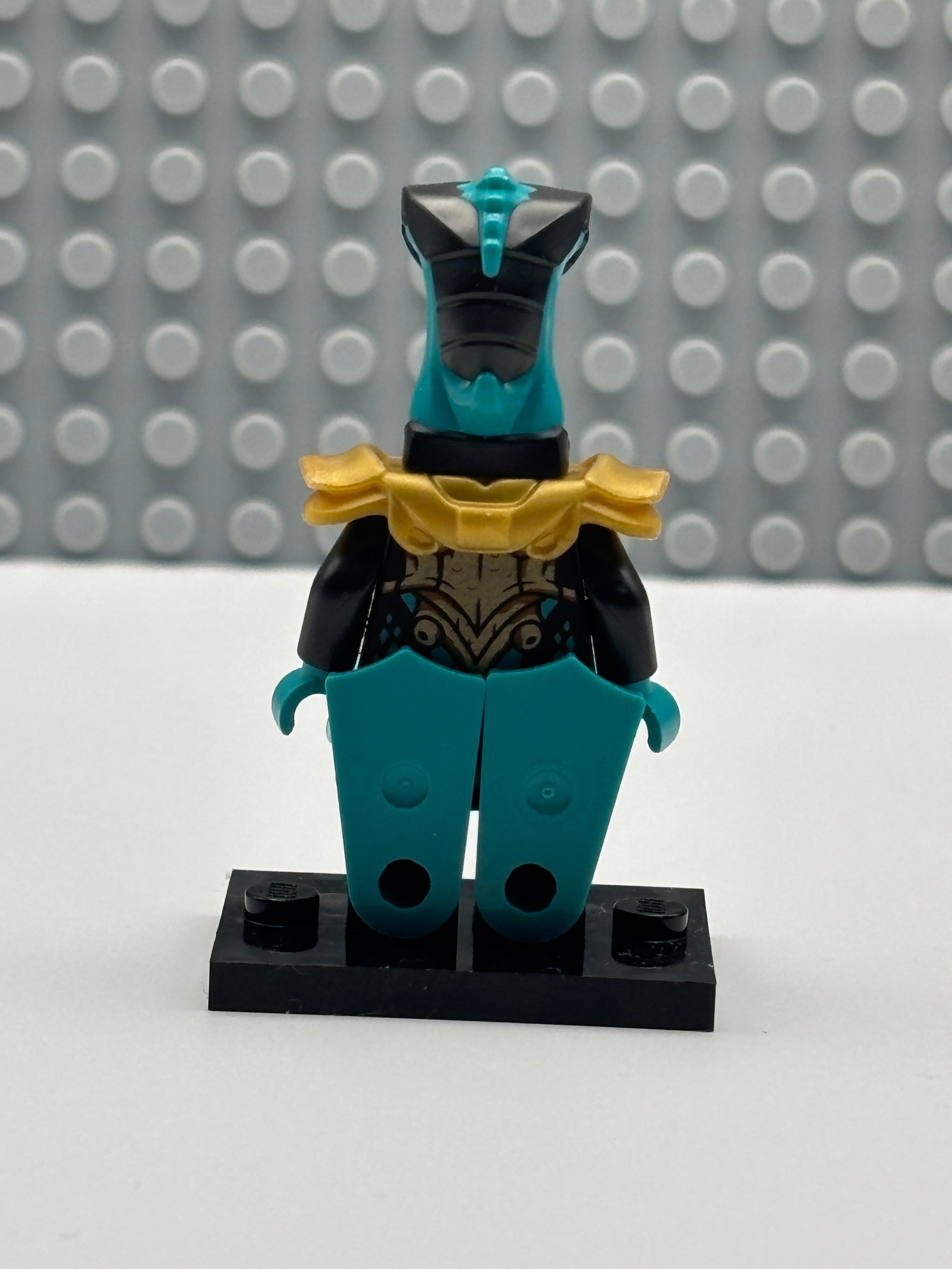 Maaray Guard - njo0696