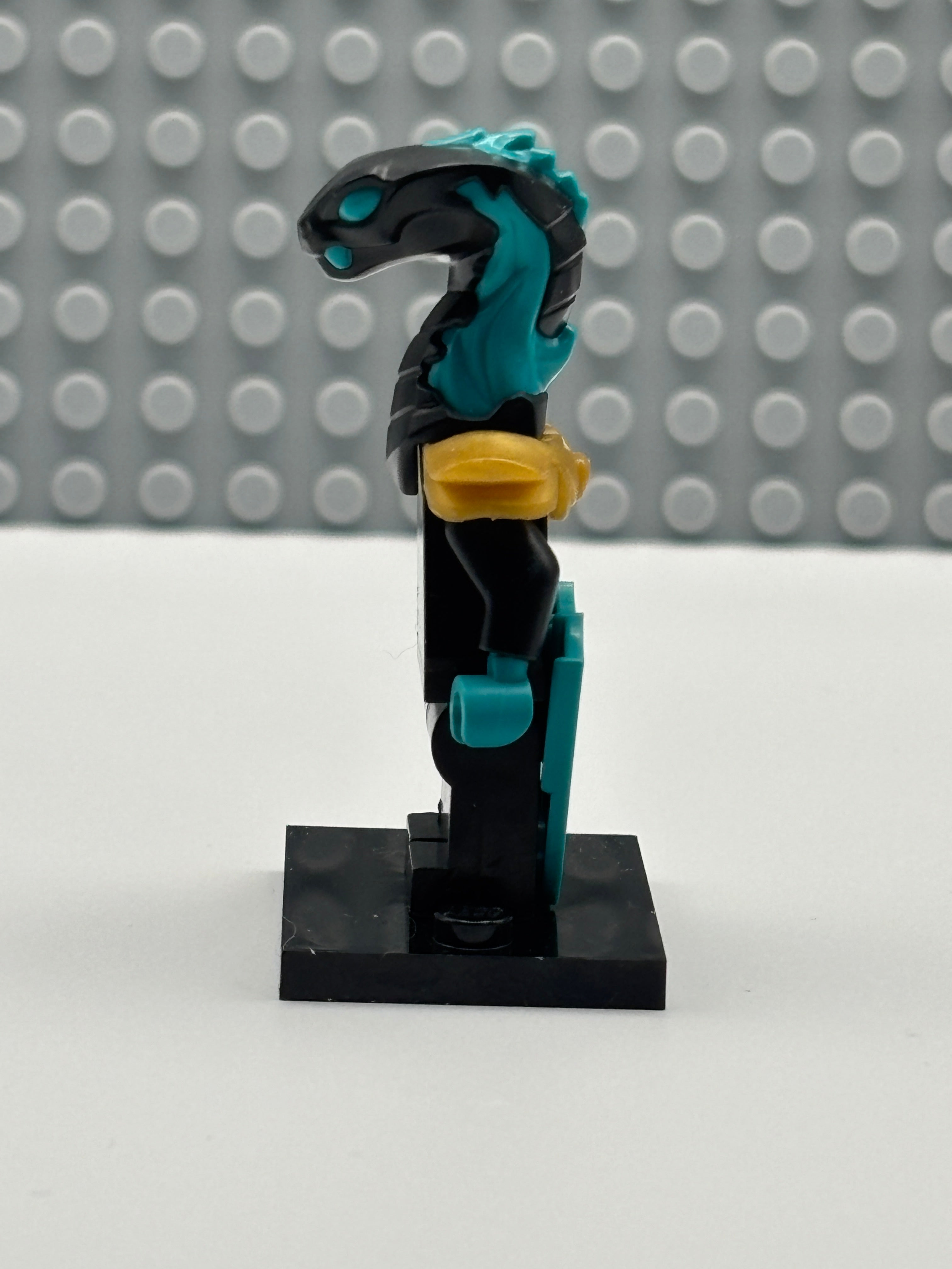 Maaray Guard - njo0696