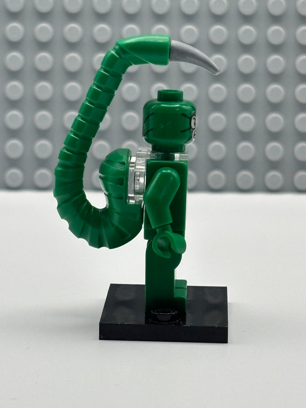 Scorpion - sh0269