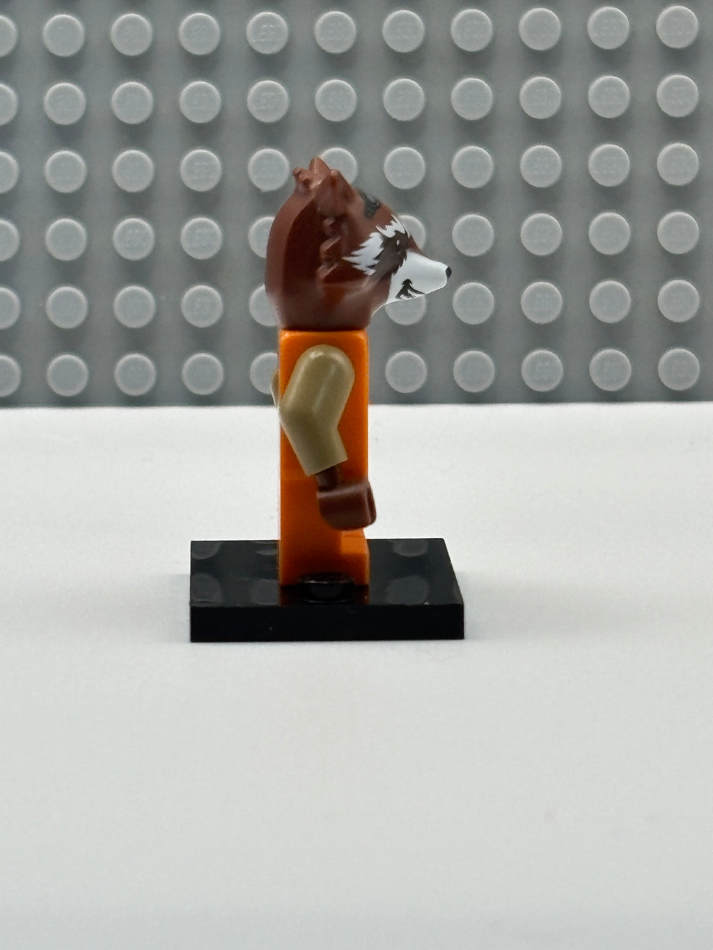 Rocket Raccoon - Orange Outfit - sh0858