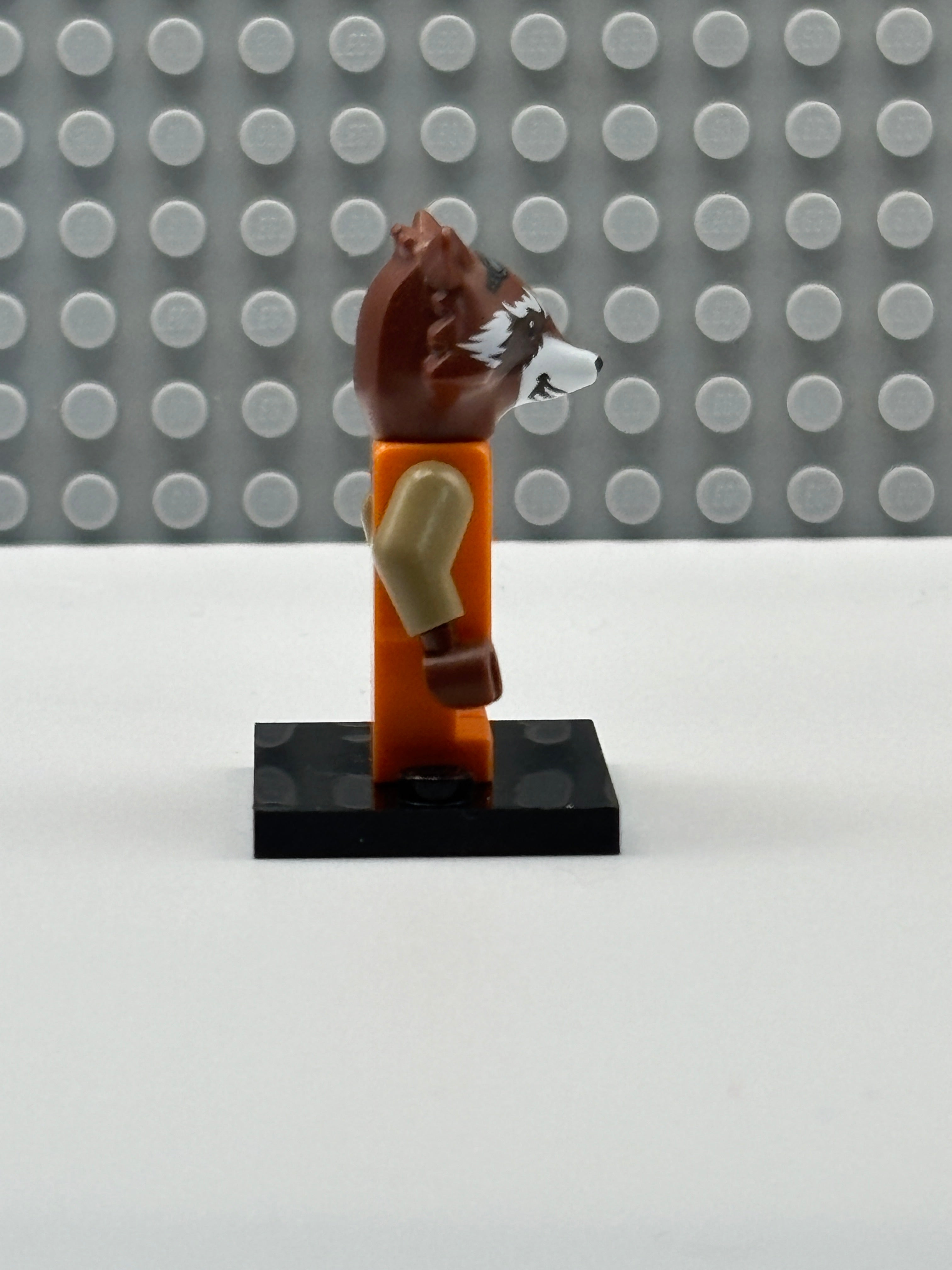 Rocket Raccoon - Orange Outfit - sh0858