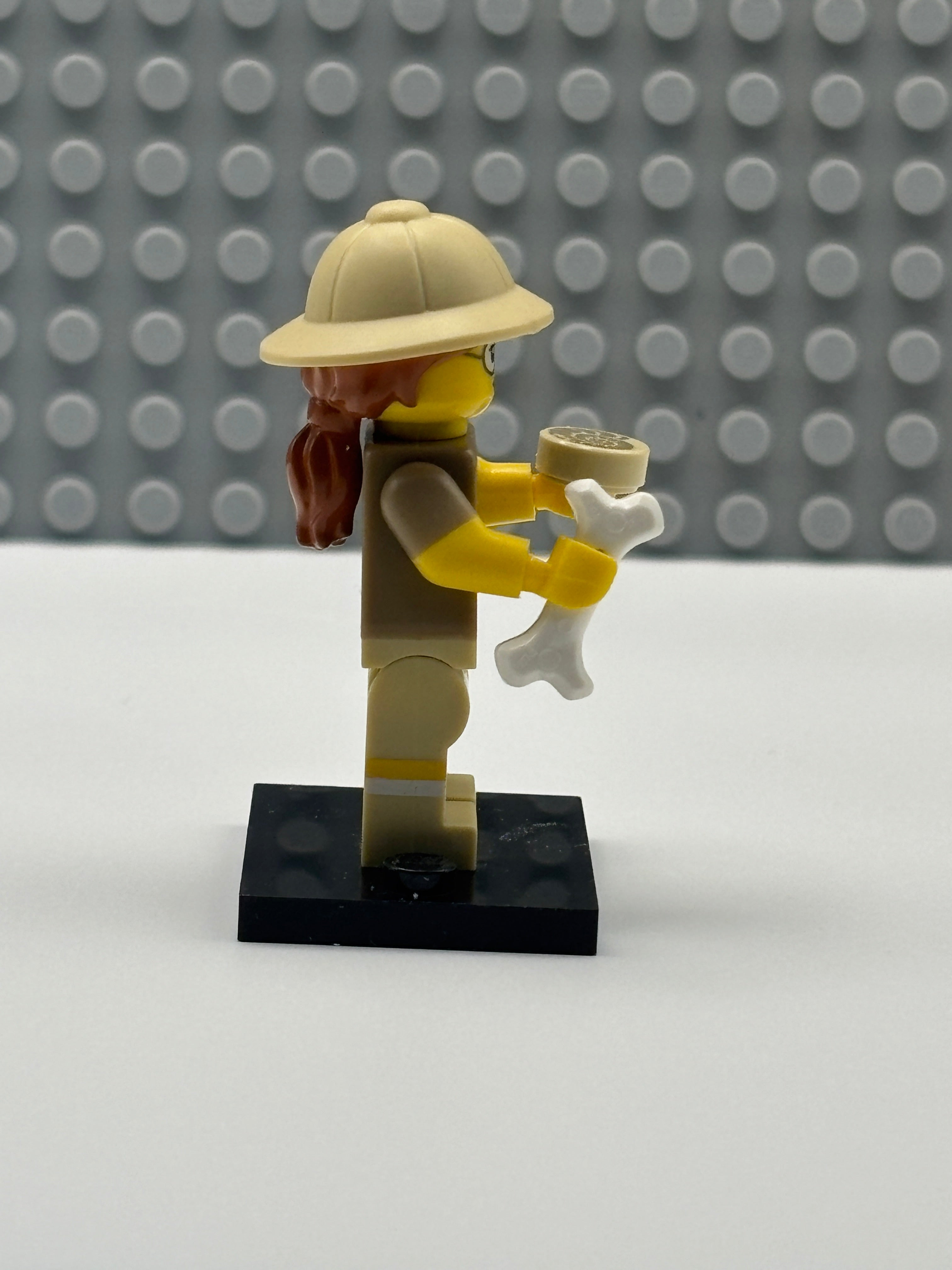 Paleontologist - col13-6