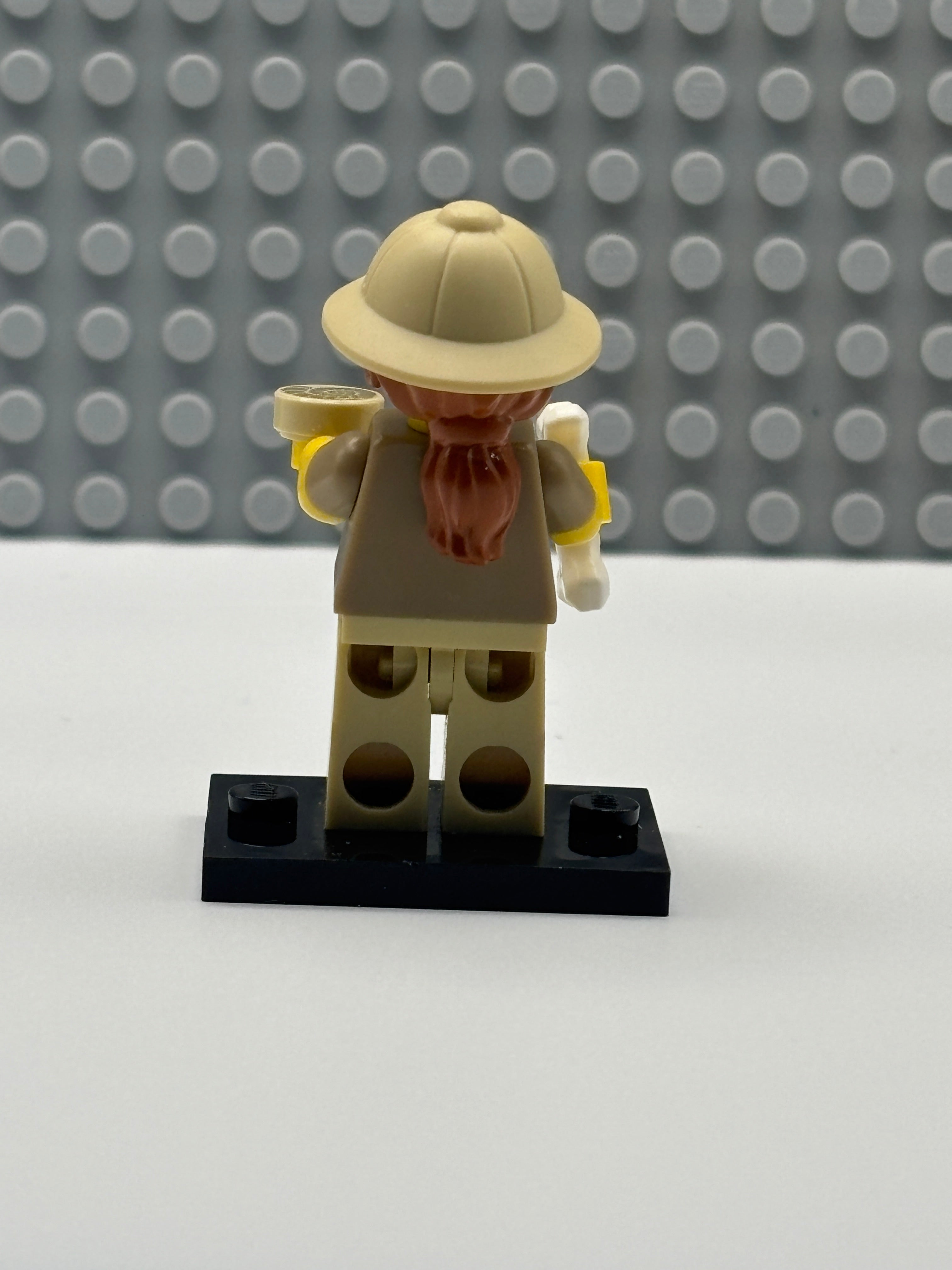 Paleontologist - col13-6