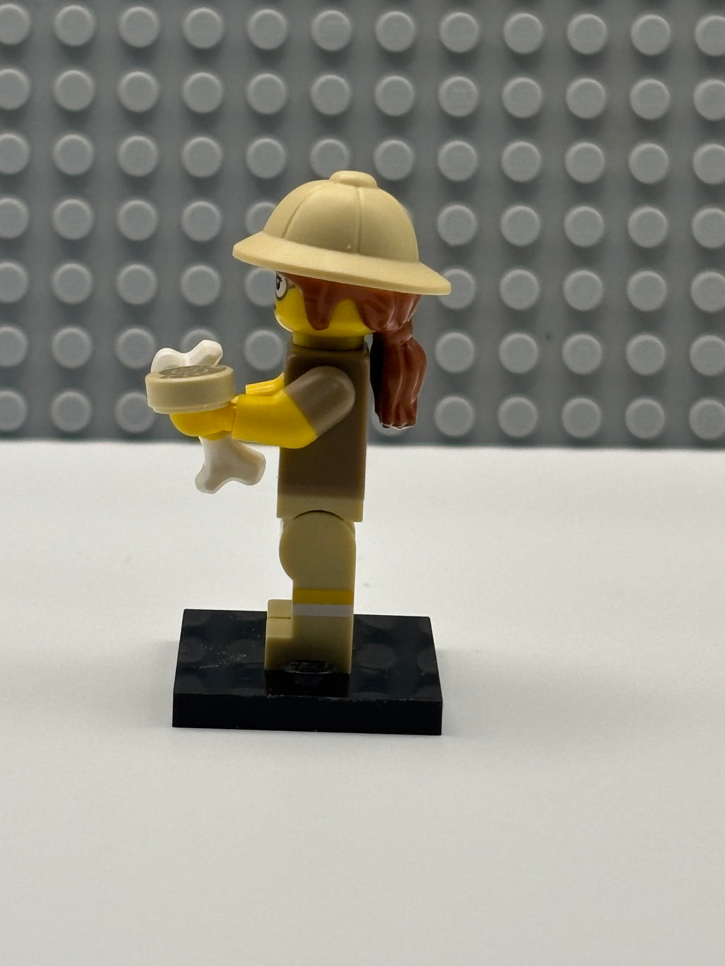 Paleontologist - col13-6