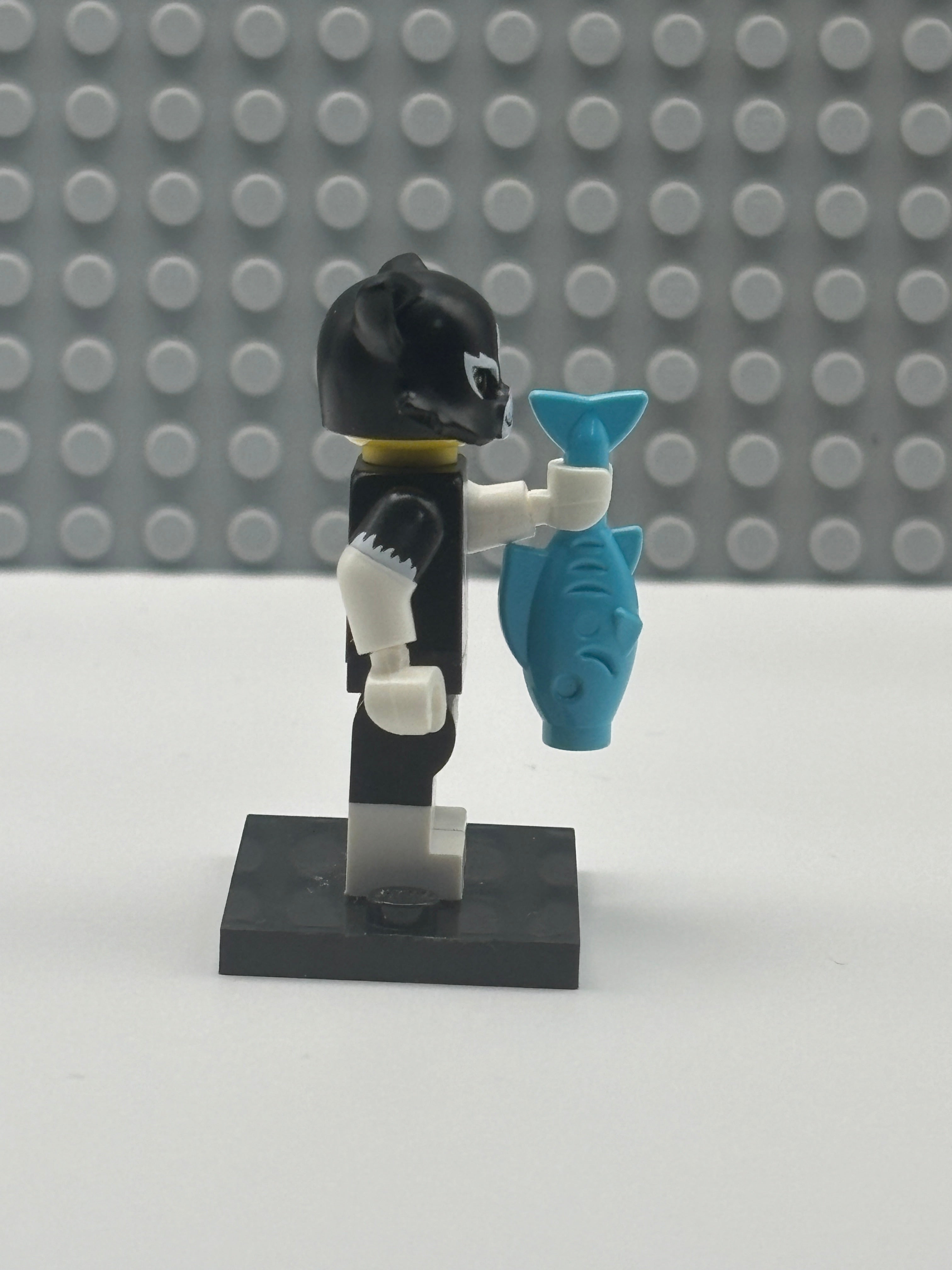 Cat Costume Girl - col18-12