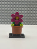 Flowerpot Girl - col18-14