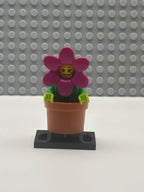 Flowerpot Girl - col18-14