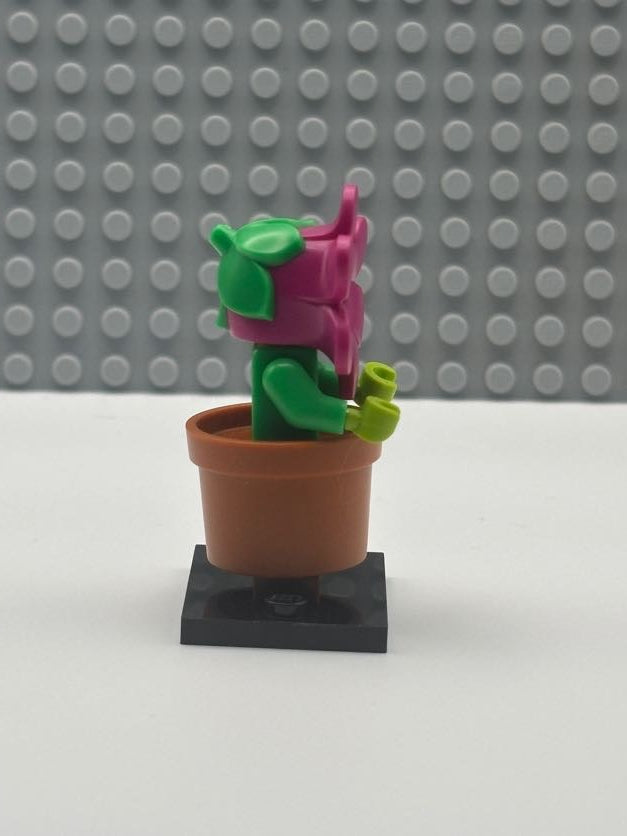 Flowerpot Girl - col18-14