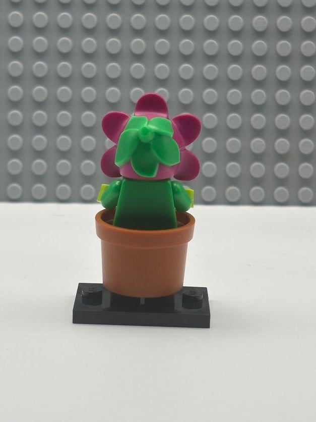 Flowerpot Girl - col18-14
