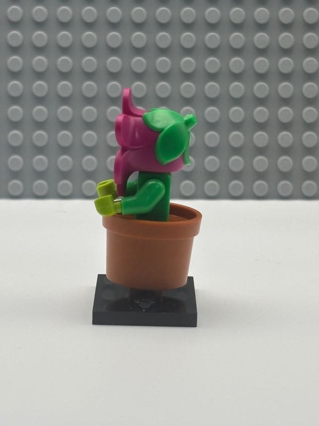 Flowerpot Girl - col18-14