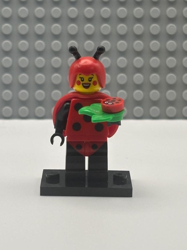 Ladybug girl - col21-4
