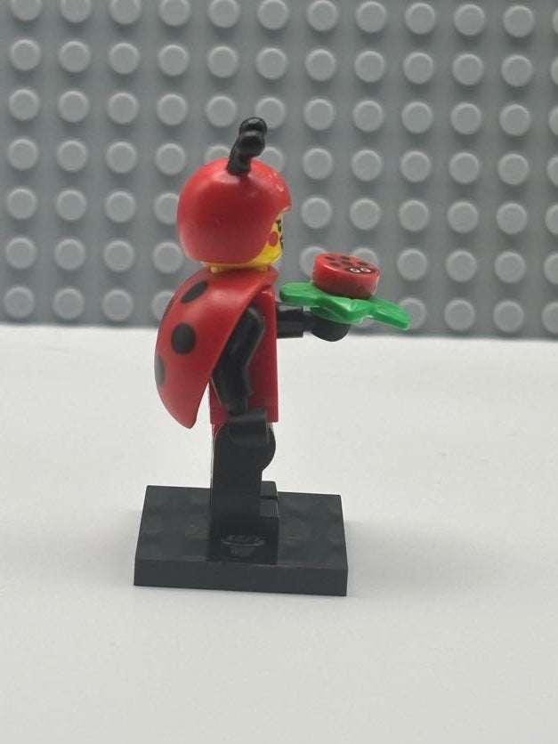 Ladybug girl - col21-4