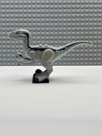 Velociraptor (Jurassic World Blue) - Raptor14