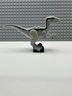 Velociraptor (Jurassic World Blue) - Raptor14