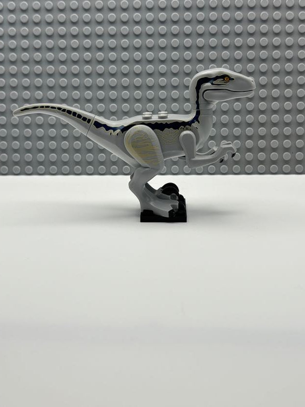 Velociraptor (Jurassic World Blue) - Raptor14