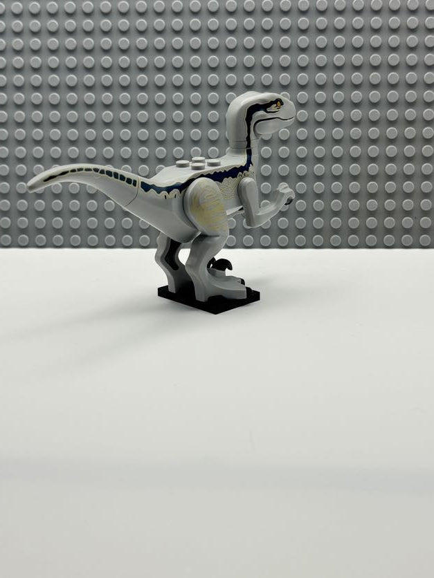 Velociraptor (Jurassic World Blue) - Raptor14