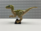 Velociraptor (Delta) - Raptor06