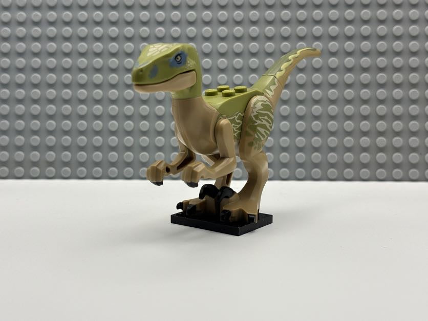 Velociraptor (Delta) - Raptor06
