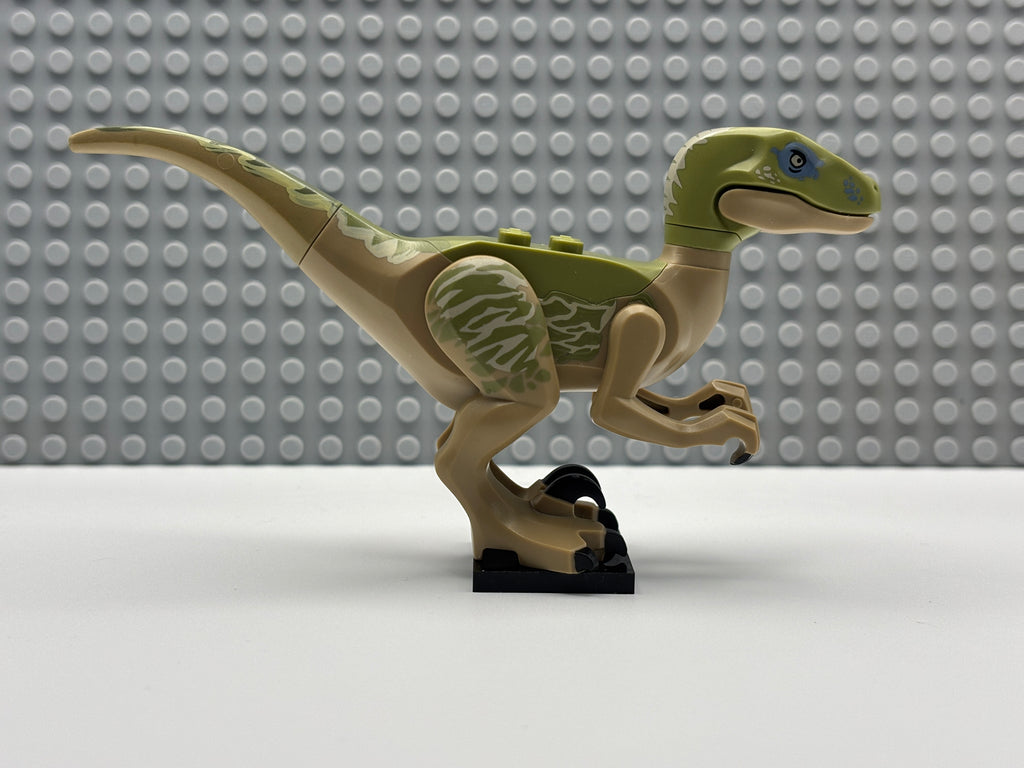 Velociraptor (Delta) - Raptor06