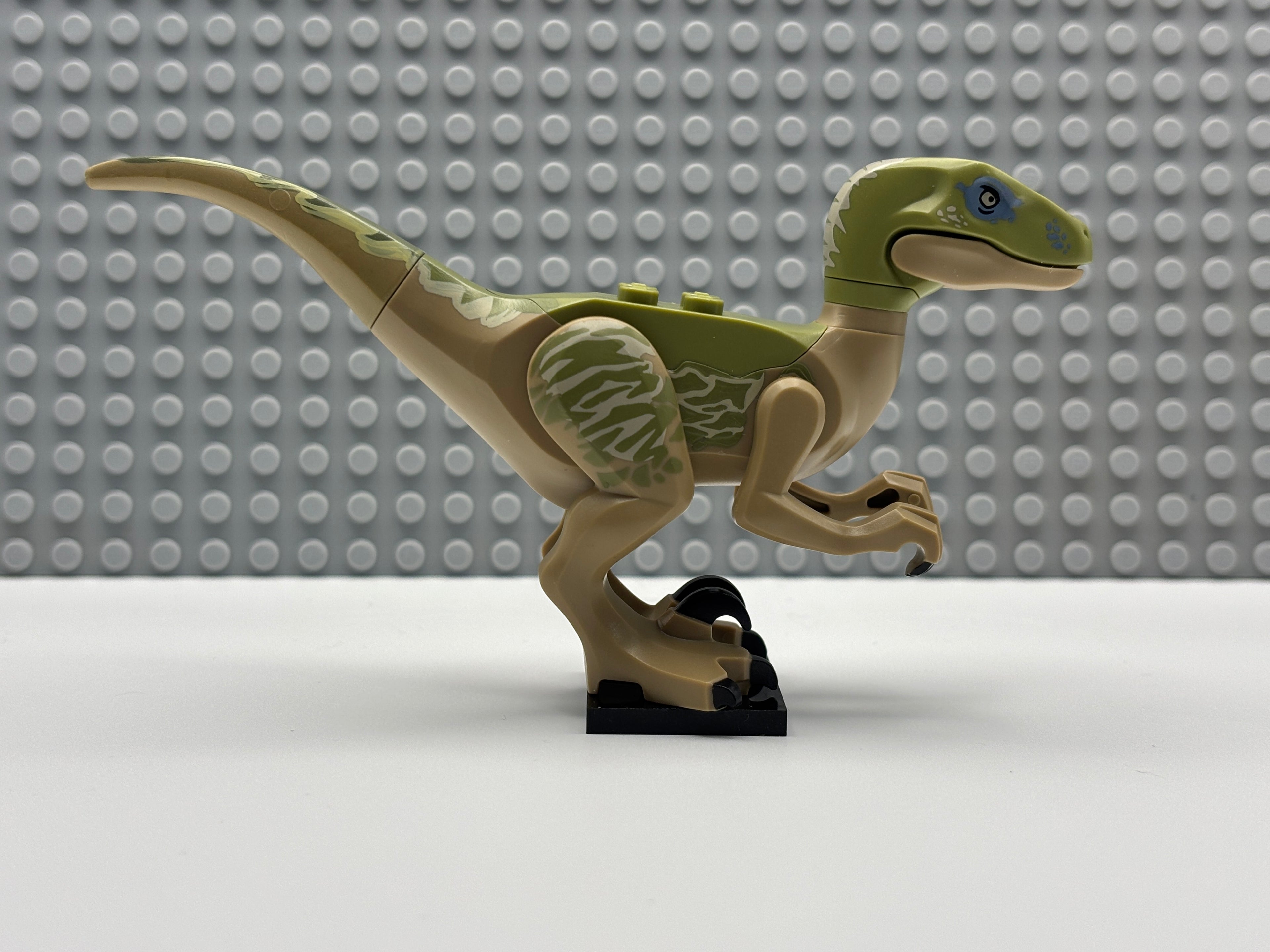 Velociraptor (Delta) - Raptor06