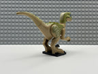 Velociraptor (Delta) - Raptor06