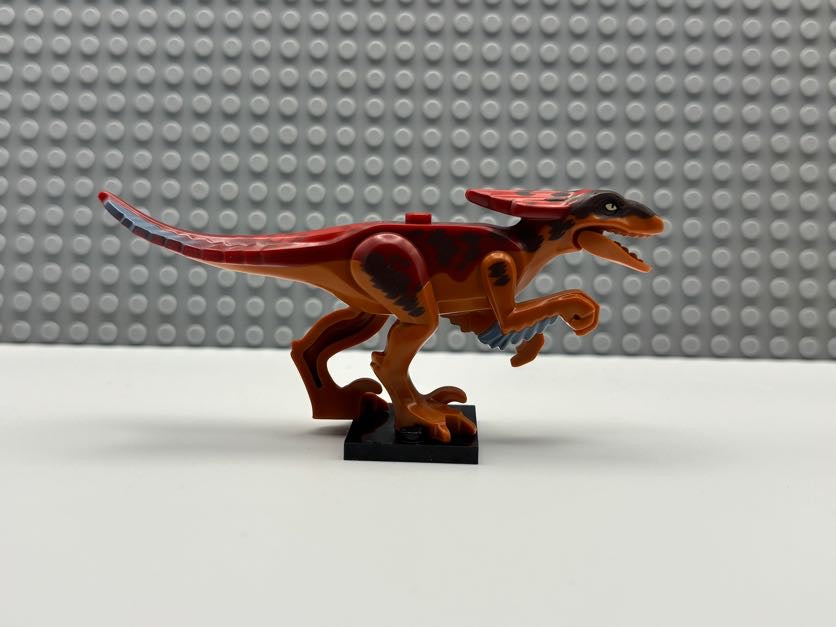 Pyroraptor - pyroraptor01