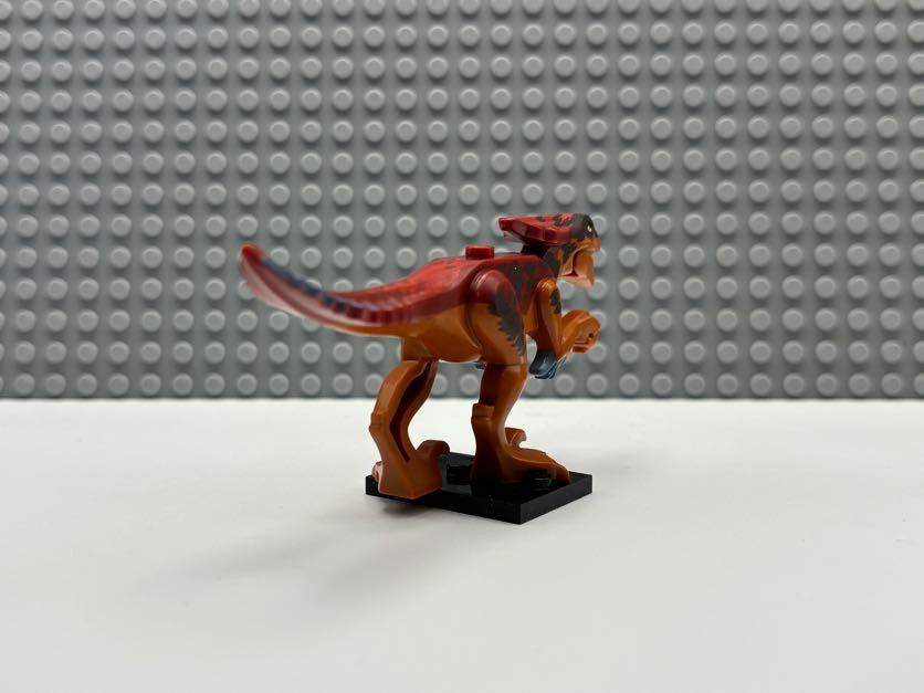 Pyroraptor - pyroraptor01
