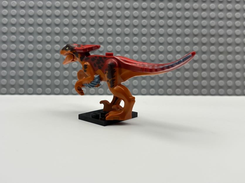 Pyroraptor - pyroraptor01