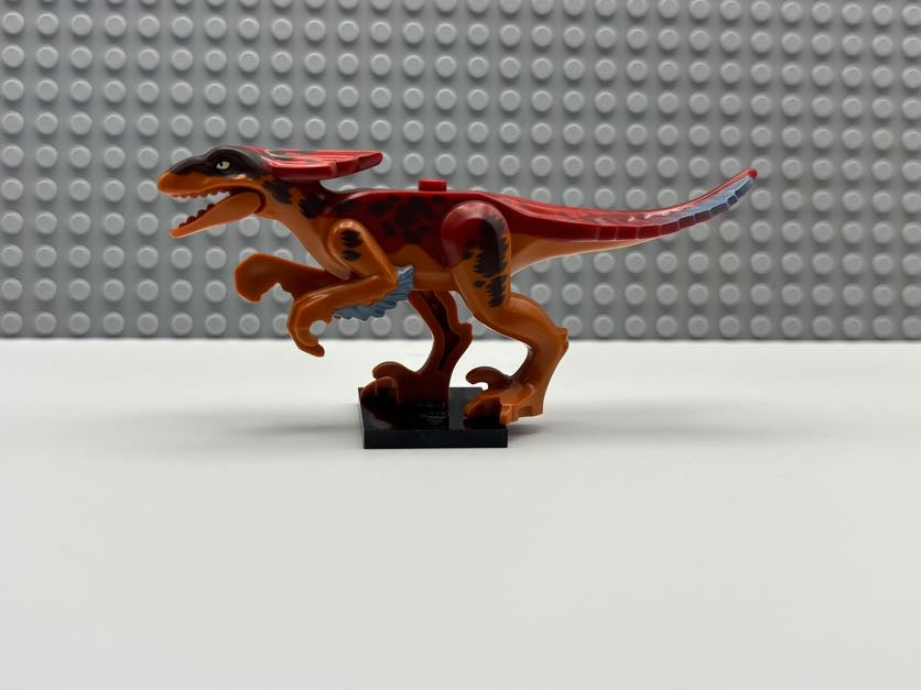 Pyroraptor - pyroraptor01