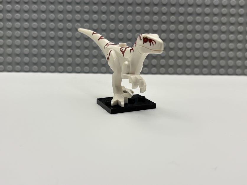 Atrociraptor - Atrocira02