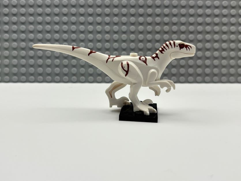 Atrociraptor - Atrocira02