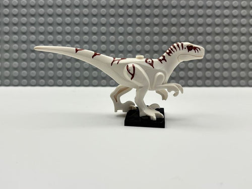 Atrociraptor - Atrocira02