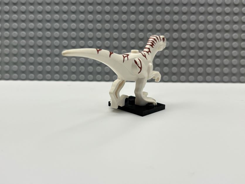 Atrociraptor - Atrocira02