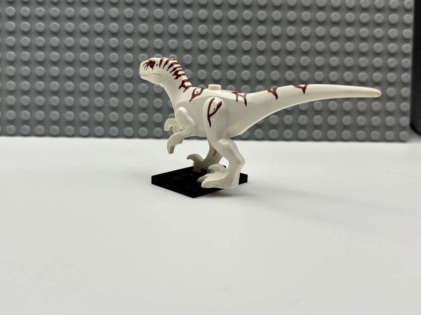 Atrociraptor - Atrocira02