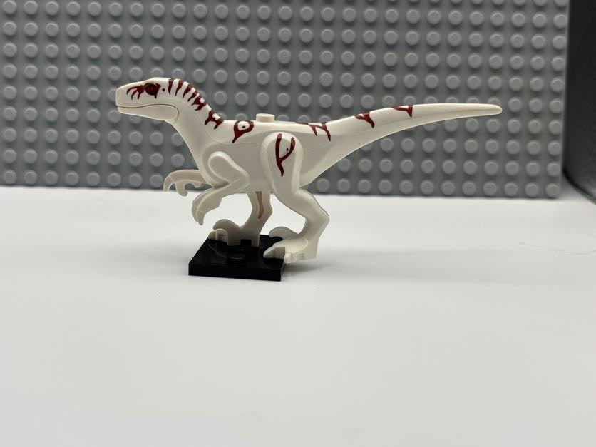 Atrociraptor - Atrocira02