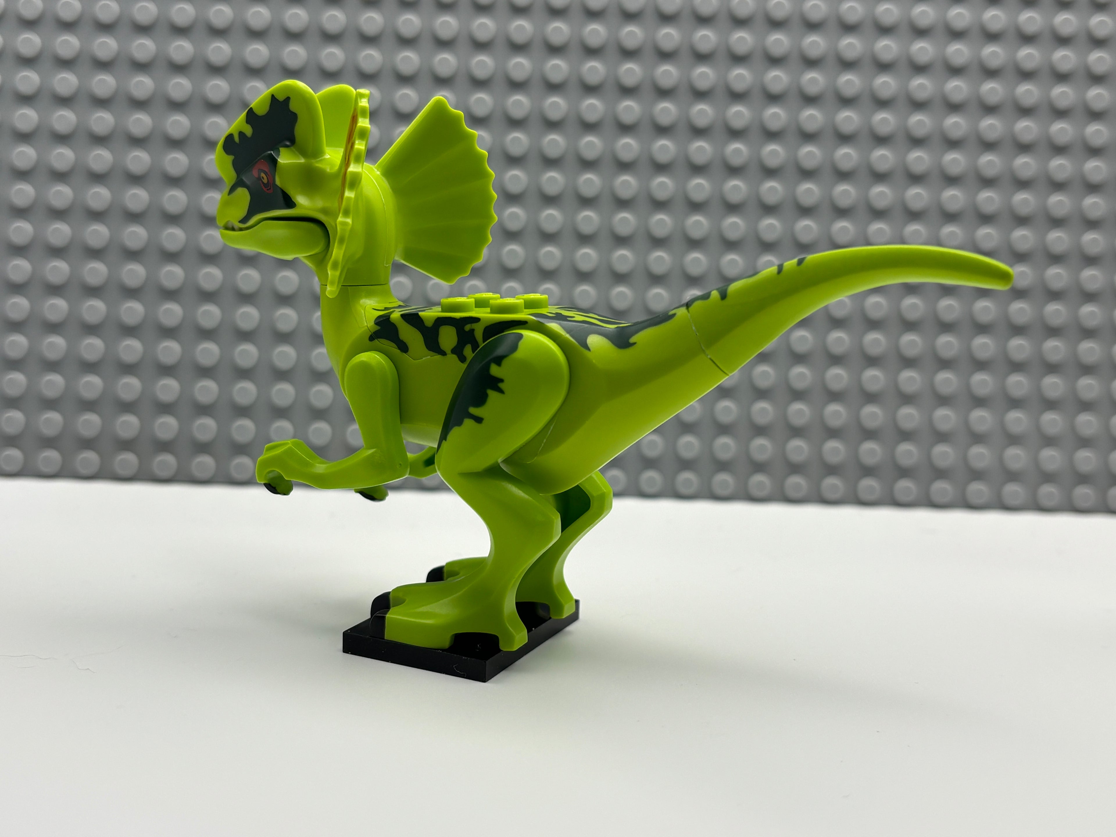 Dilophosaurus - Dilo01