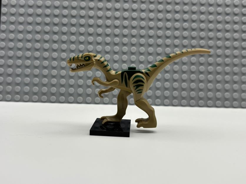 Dinosaur Coelophysis / Gallimimus with Dark Green Stripes and Yellow Eyes Pattern - 98166pb01