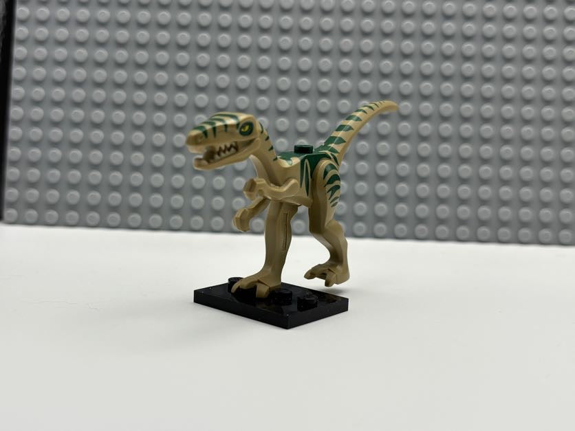 Dinosaur Coelophysis / Gallimimus with Dark Green Stripes and Yellow Eyes Pattern - 98166pb01
