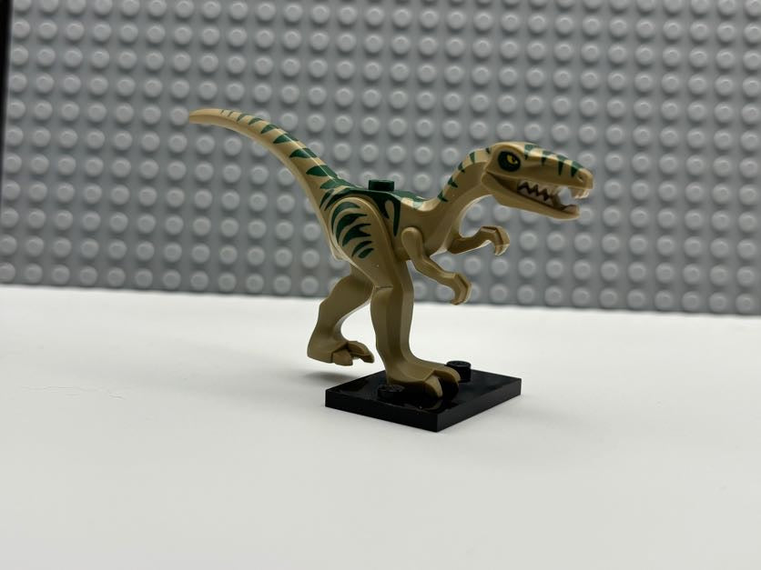 Dinosaur Coelophysis / Gallimimus with Dark Green Stripes and Yellow Eyes Pattern - 98166pb01