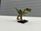 Dinosaur Coelophysis / Gallimimus with Dark Green Stripes and Yellow Eyes Pattern - 98166pb01