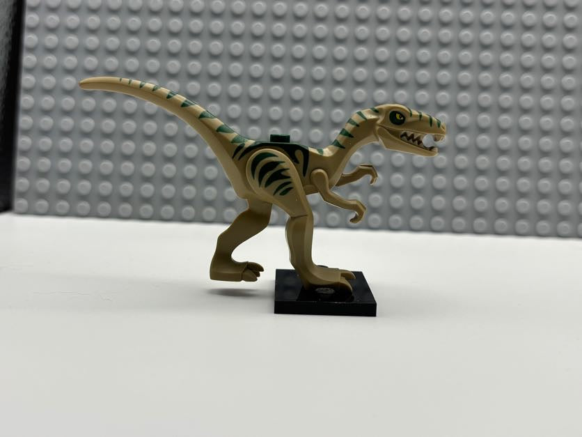 Dinosaur Coelophysis / Gallimimus with Dark Green Stripes and Yellow Eyes Pattern - 98166pb01