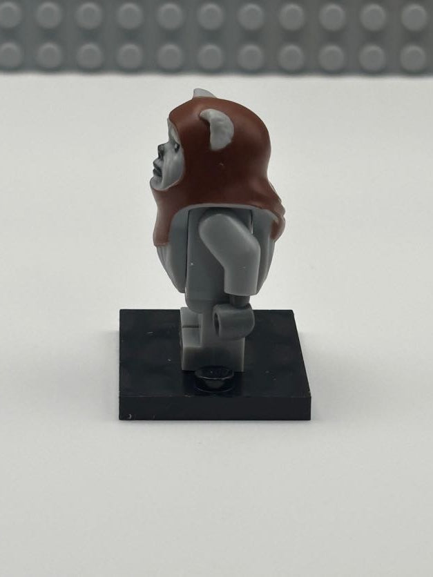 Chief Chirpa - sw0236